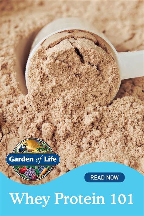 whey protein results after 1 month|Whey Protein 101: The Ultimate Beginner's Guide .